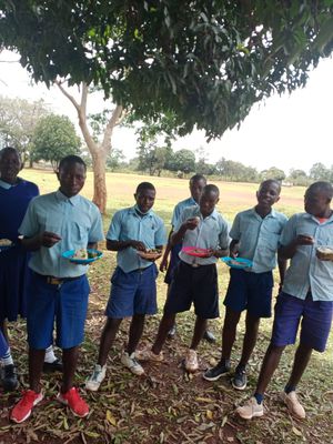 63b5e52d-d709-45b1-83b4-8b5b377db219