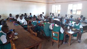 b93255b6-6d6b-49fd-898a-2f9b8d5a314a